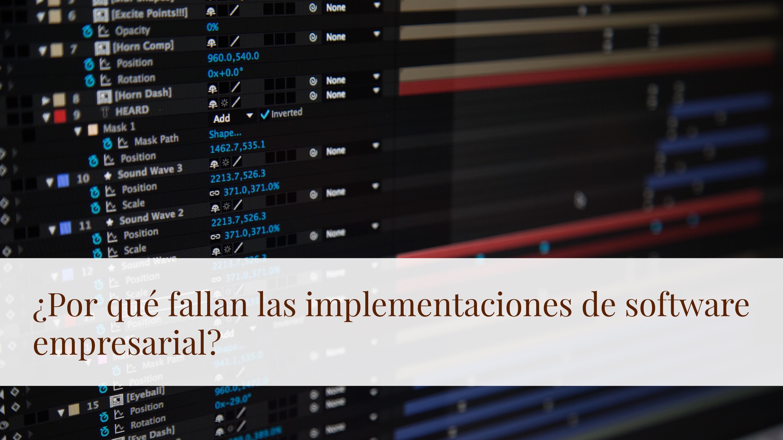 Implementación de software empresarial