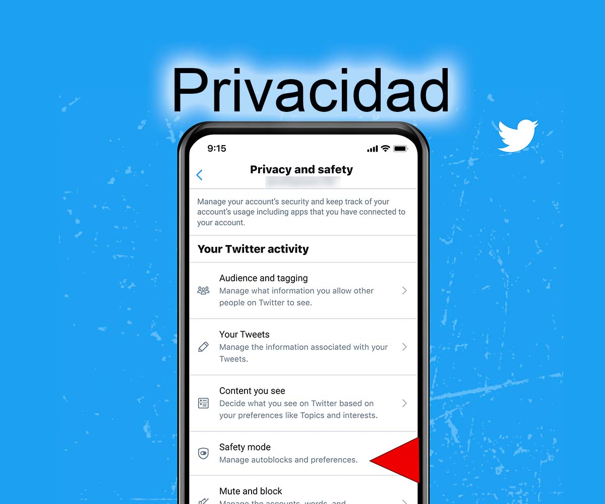 Twitter Privacidad