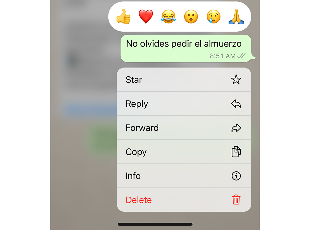 Opción de eliminar el mensaje de WhatsApp para corregir el error