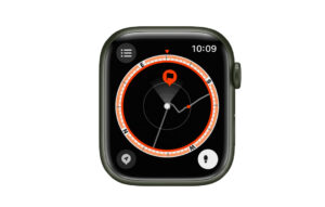 Seguir sus pasos en el Apple Watch