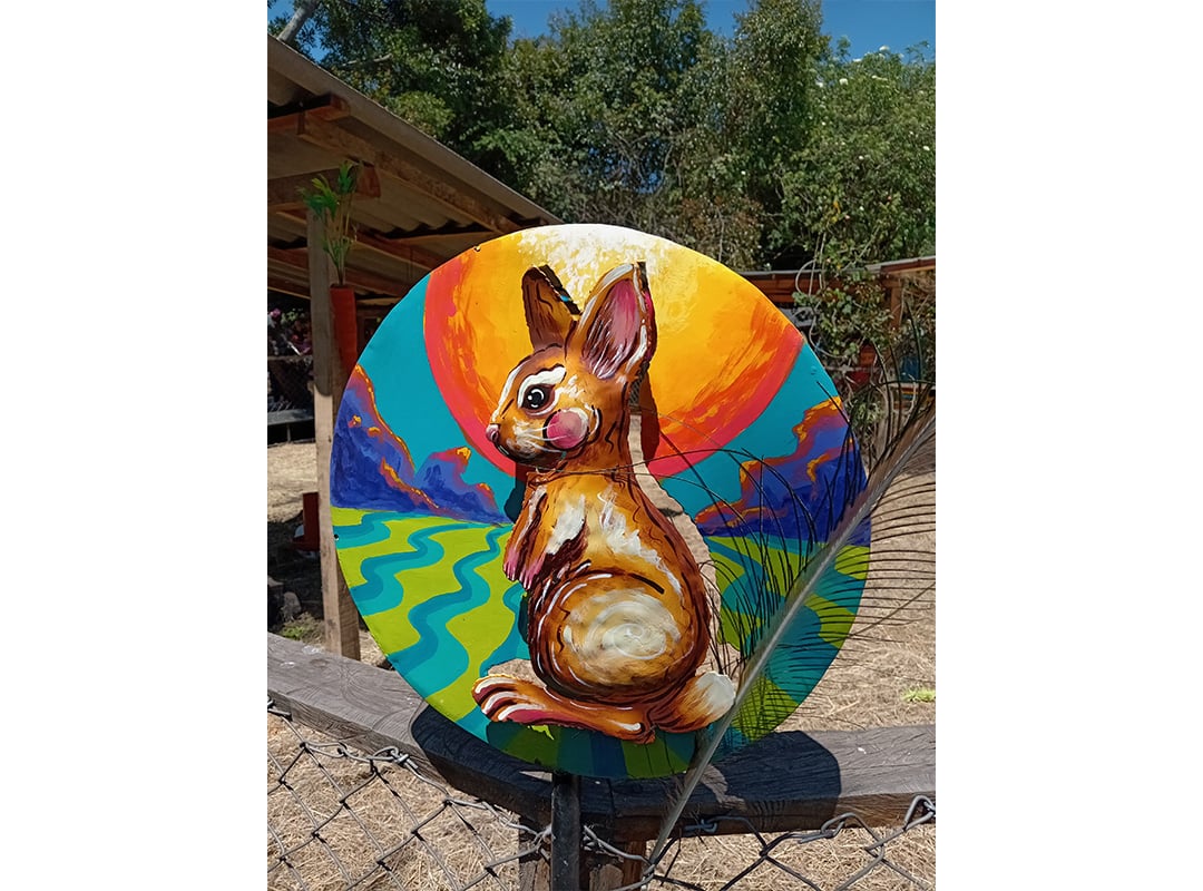 Conejo pintado sobre material reciclado captado con el HONOR X7a