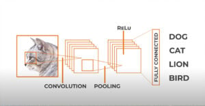 Uso de capas en las redes neuronales convolucionales