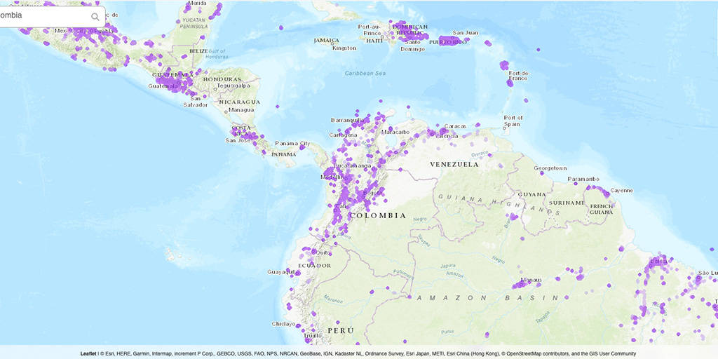 Conectividad 5G en colombia según nperf